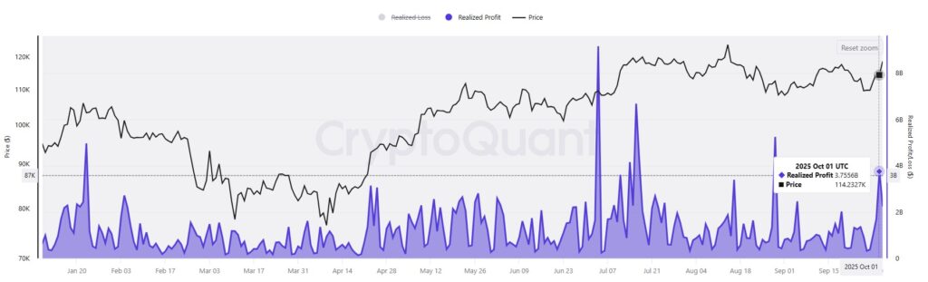 Gráfico de ganancias con bitcoin de líneas moradas y negras con fondo blanco