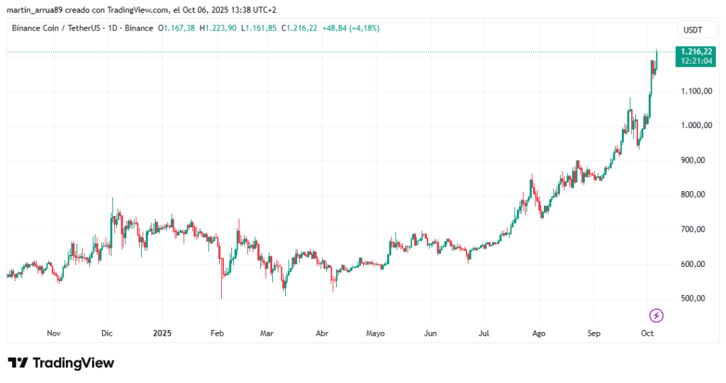 Gráfico de precio de la criptomoneda BNB en el último año.