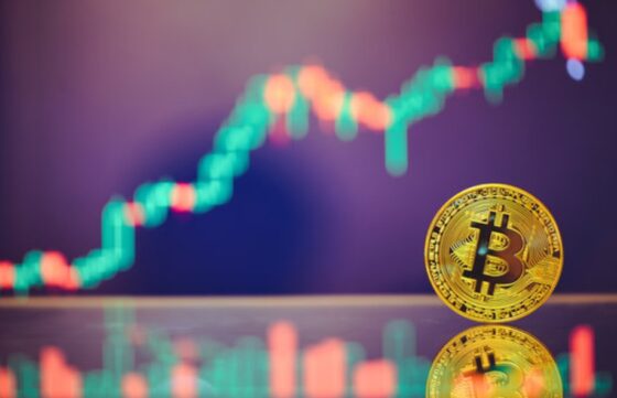 “La inestabilidad geopolítica no ha cancelado el mercado alcista de bitcoin”