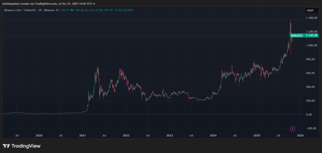 Gráfico del precio de BNB en el último año.