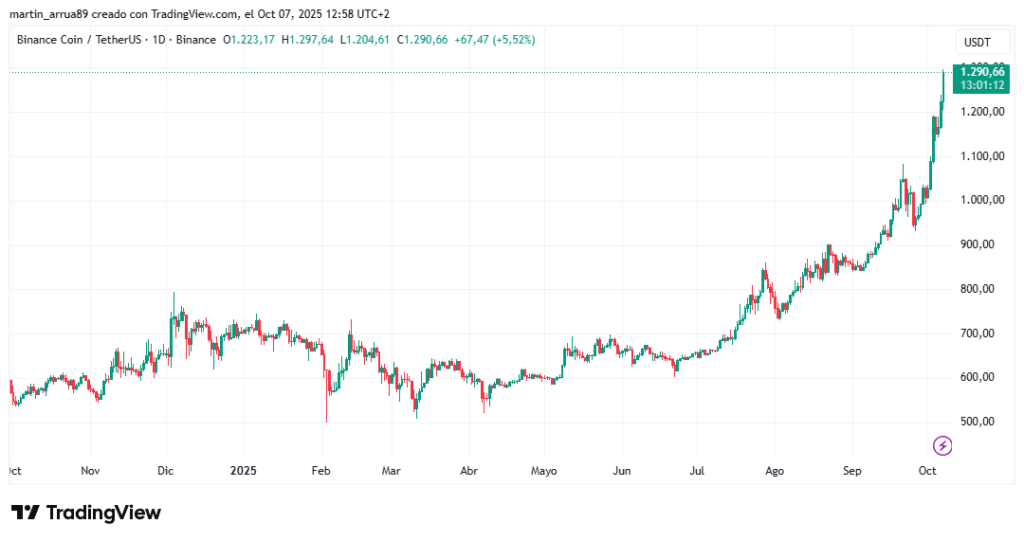 Gráfico de velas de la criptomoneda de Binance que muestre líneas rojas y verdes que ascienden a la derecha.