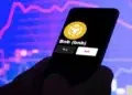 Logo de la moneda BNB en un smartphone.