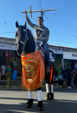 Un hombre a caballo con un logo de bitcoin y una espada en alto.