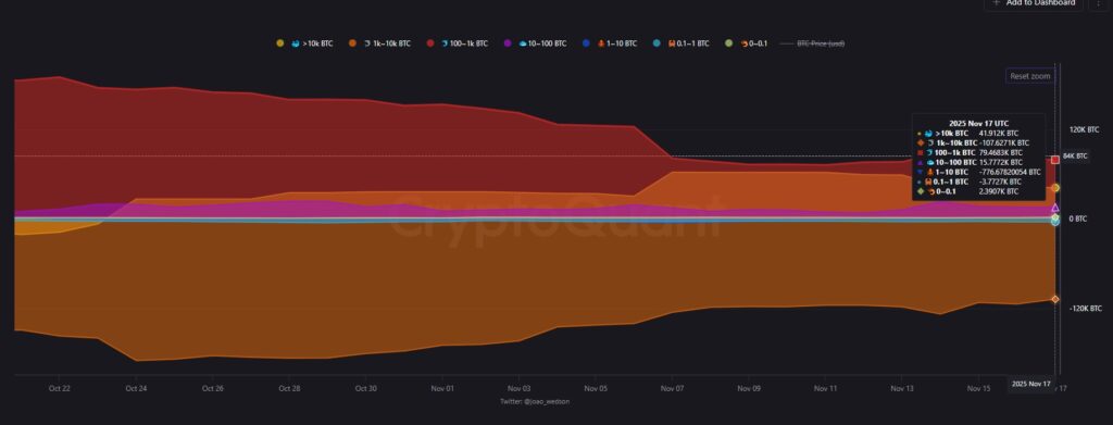 Gráfica con franjas que representan la acumulación de los distintos tipos de inversores de bitcoin.