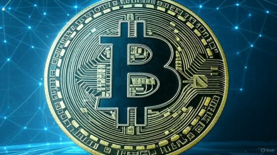 La locura es creer que BTC no va a funcionar: bitcoiners opinan sobre la caída