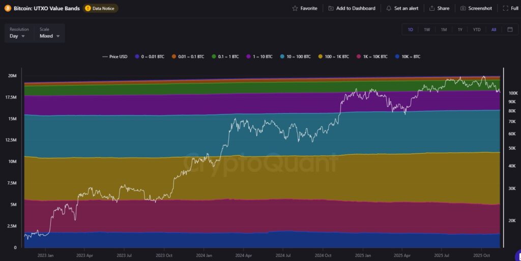 Gráfica que muestra la mayoría de UTXOs en rangos pequeños, indicando que los usuarios suelen mantener fracciones de bitcoin.
