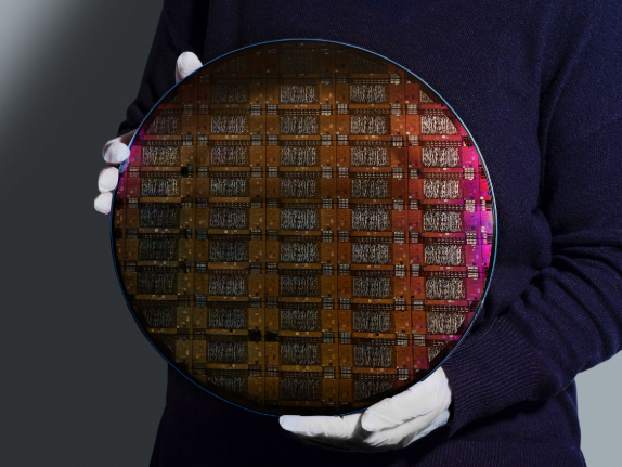 Una persona sosteniendo con sus manos un objeto circular.