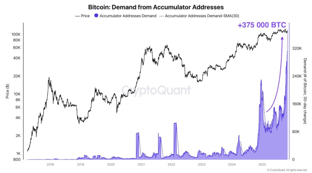 Gráfica de ejes con línea morada que refleja los BTC acumulados vs. el precio de bitcoin.