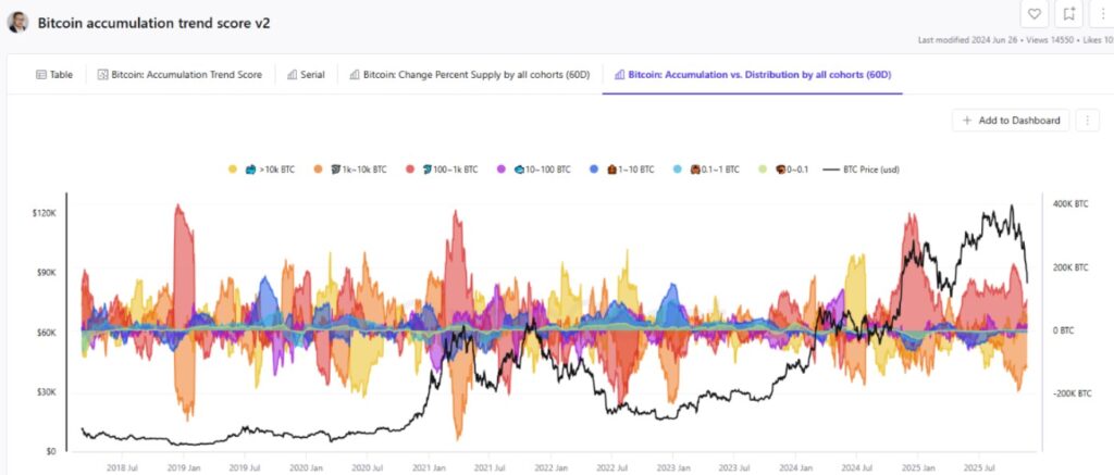 Gráfica de bandas de colores que representan la acumulación de bitcoin de diferentes cohortes.