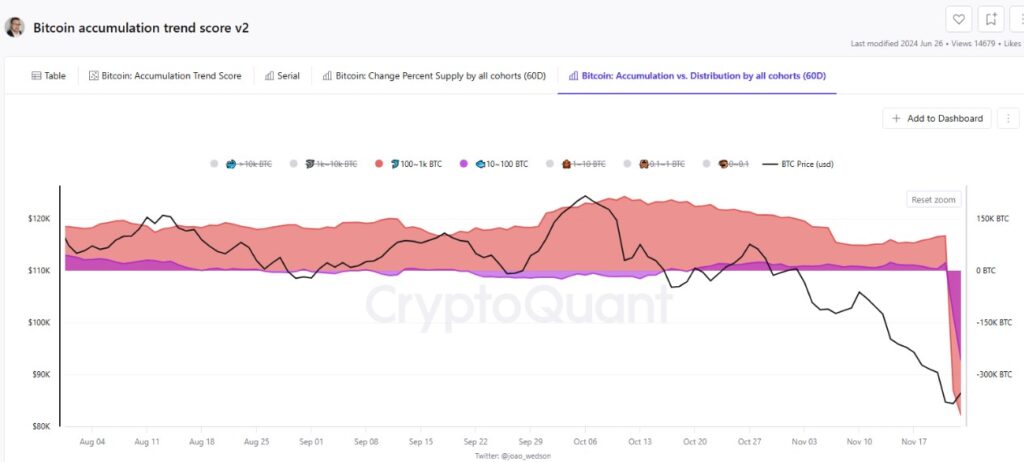 Gráfica de bandas rosadas y moradas que representan la acumulación de bitcoin por parte de ballenas y delfines.