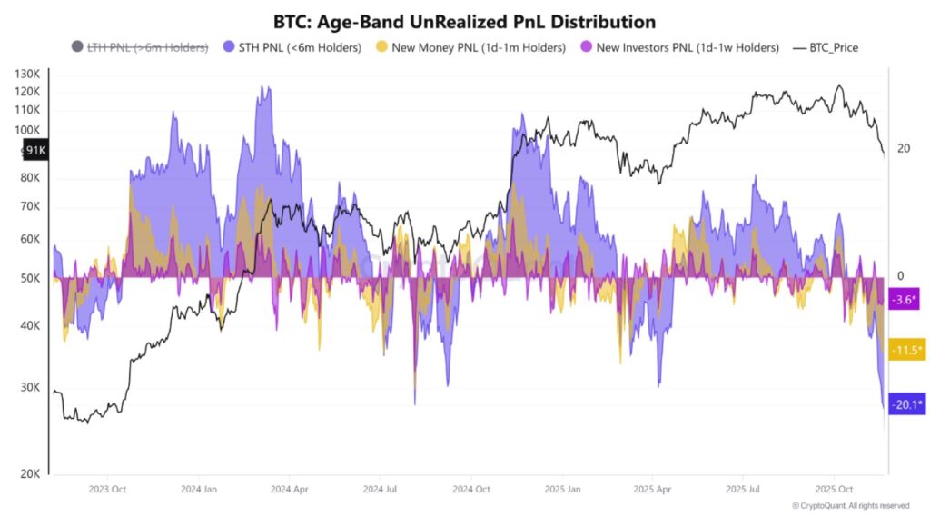 Gráfica de líneas sobre pérdidas no realizadas por cohortes que ilustra el creciente estrés de los tenedores de corto plazo en BTC.