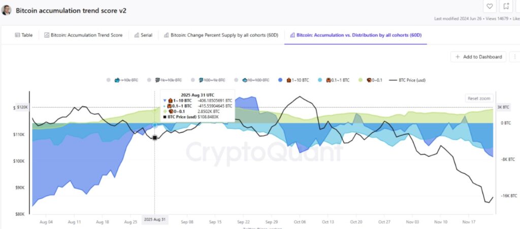 Gráfica de bandas azul y verde que representan la acumulación de bitcoin por parte de pequeños inversionistas.