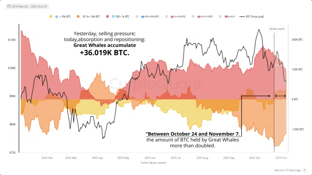 Gráfico de colores que muestra distribución de tenencias de bitcoin a lo largo de 2025.