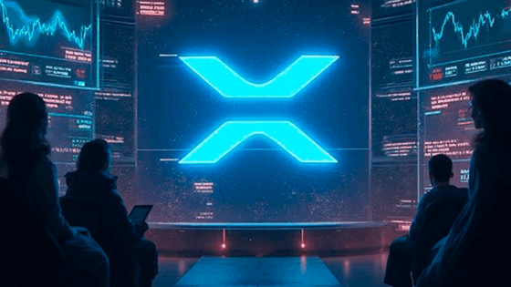 “El precio de XRP está sujeto a una serie de contradicciones” 