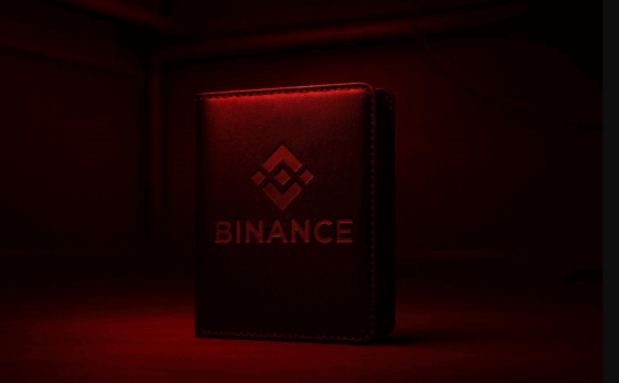 Binance Wallet confirma su centralización bloqueando web maliciosa