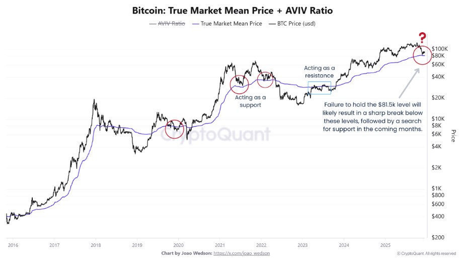 Bitcoin price chart and TMMP indicator reflected in black lines.