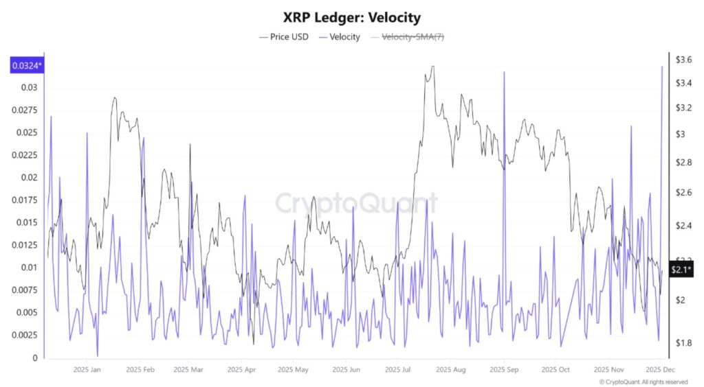Gráfico de líneas de que muestra la velocidad del XRP Ledger y el precio de XRP en USD a lo largo de 2025.