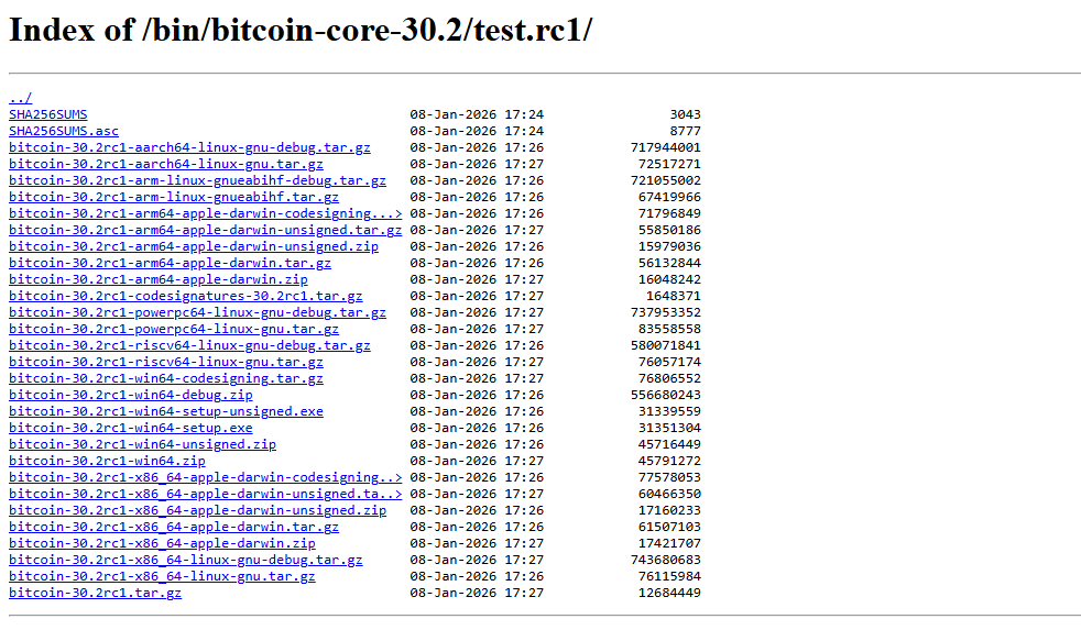 Lista de archivos descargables de la versión v.30.2 del software Bitcoin Core.