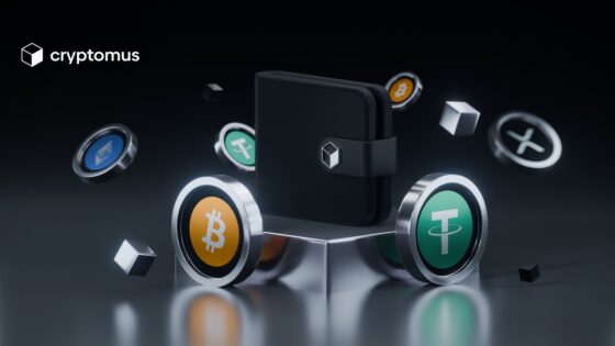 Cómo crear una billetera de criptomonedas