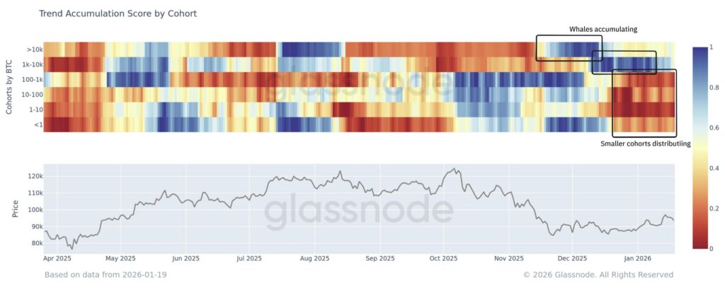 Métrica de tendencia de acumulación según el tamaño de los inversores de bitcoin.