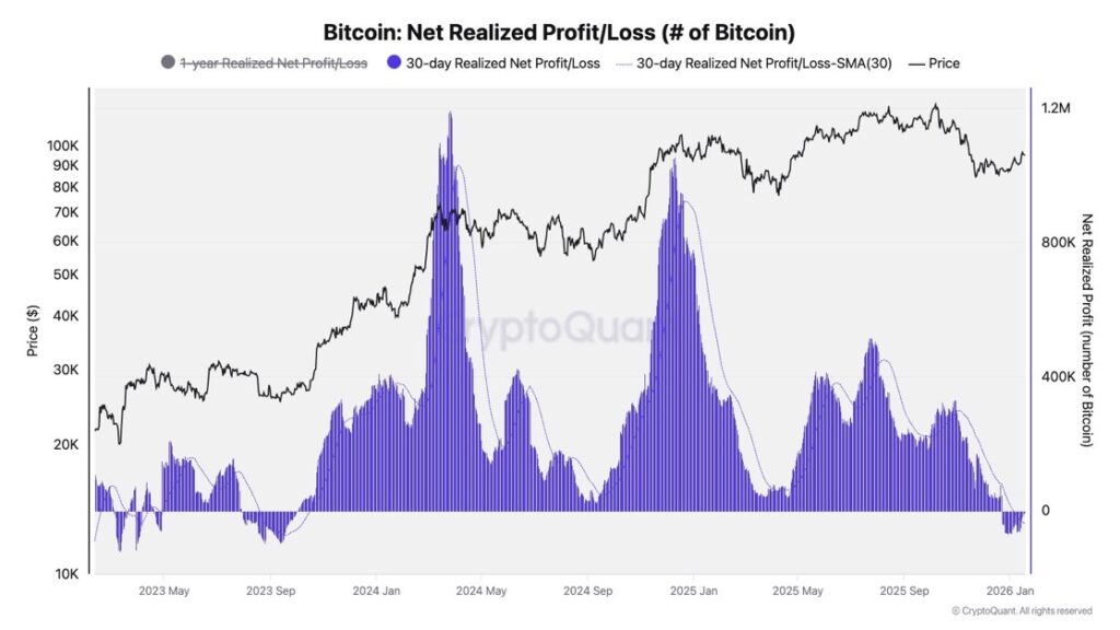 Gráfico de beneficio/pérdida realizada neta de bitcoin.