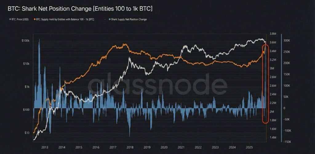 Gráfico de cantidad de bitcoin en posesión de los tiburones (entidades con entre 100 y 1.000 BTC).