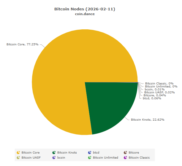 Gráfico de torta que expresa la distribución de los nodos de Bitcoin. 