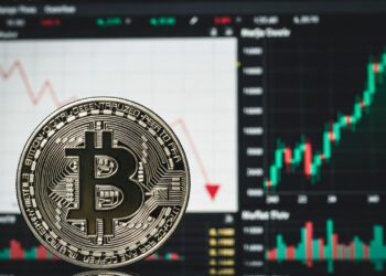 moneda de bitcoin, gráfico de inflación y precio
