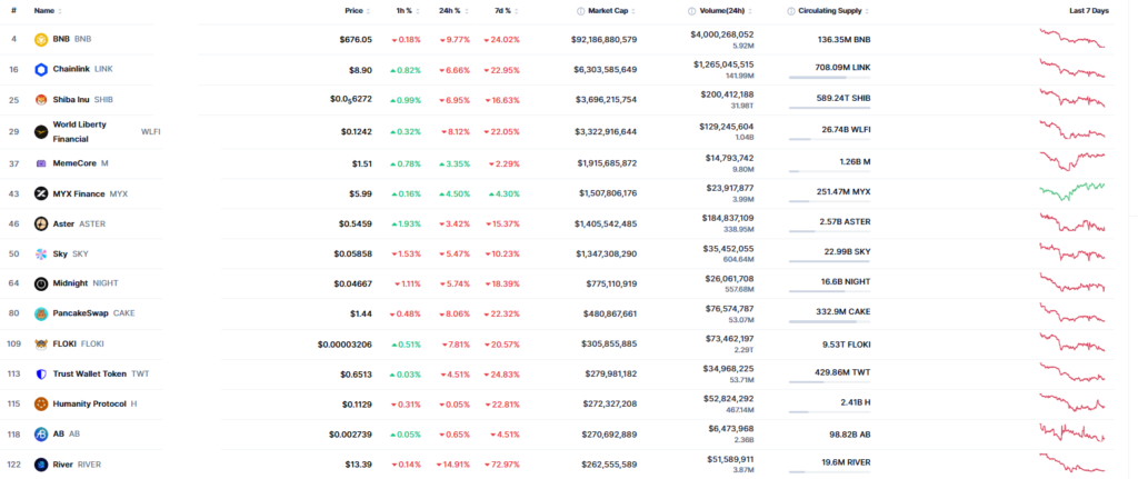 Listado de criptomonedas que habitan en la red BNB Chain.