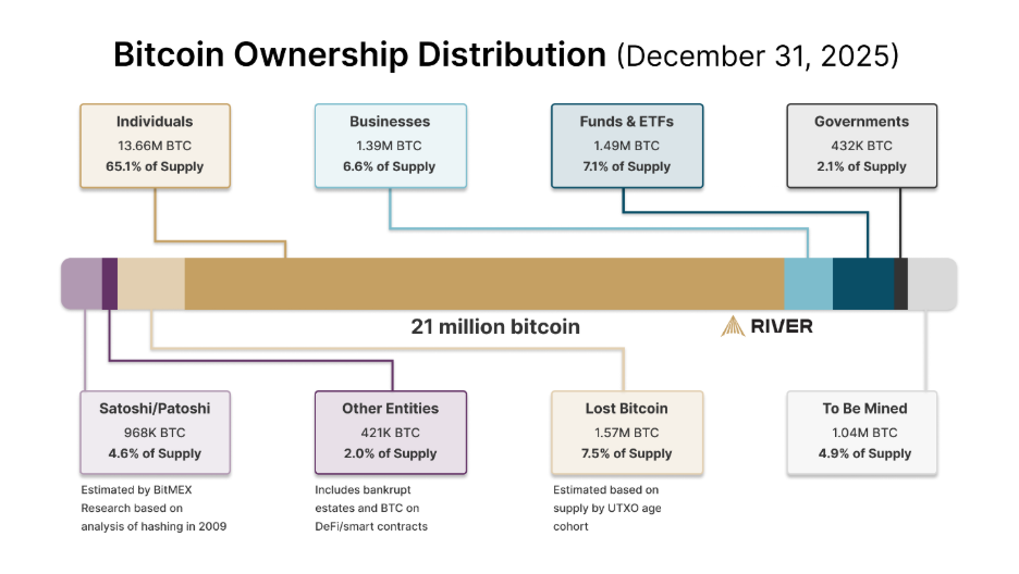 Imagen de la distribución del suministro de bitcoin entre distintas clases de poseedores.