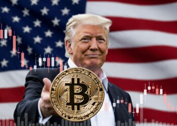Donald Trump, moneda de bitcoin, bandera de EEUU y gráfico de precio en caída.