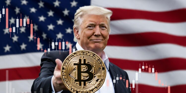 Donald Trump, moneda de bitcoin, bandera de EEUU y gráfico de precio en caída.