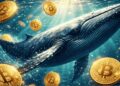 Una ballena dentro el mar rodeada de monedas de bitcoin.
