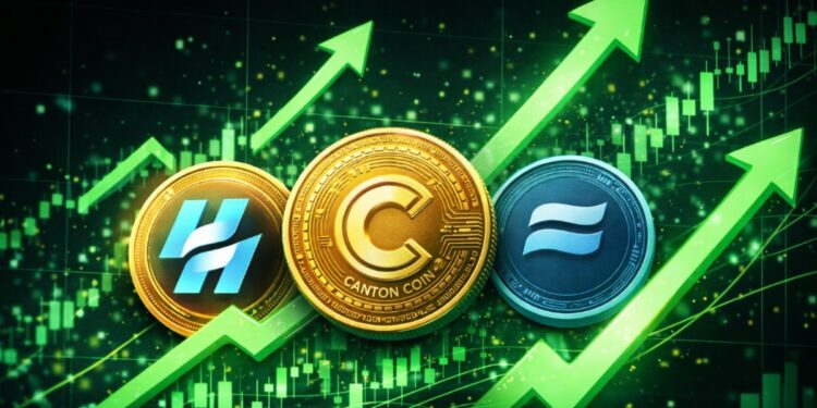 Moneda físicas de canton coin y otras, rodeadas de flechas verdes.