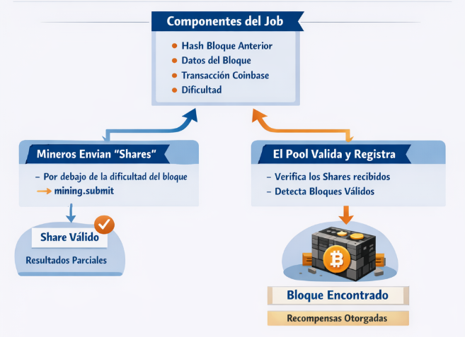 nfografía que explica con gráficos y texto los componentes del job y el funcionamiento de los shares. El pool valida los shares recibidos, registra la contribución de cada minero y detecta si alguno cumple la dificultad completa para encontrar un bloque válido y generar recompensas.