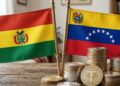 Banderas de Bolivia y Venezuela, con varias monedas de USDT apiladas.