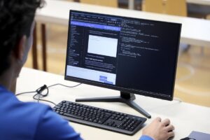 Vista desde atrás de una persona con camisa azul sentada frente a un monitor de computadora de escritorio.