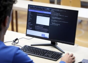 Vista desde atrás de una persona con camisa azul sentada frente a un monitor de computadora de escritorio.