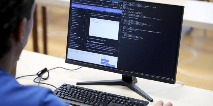 Vista desde atrás de una persona con camisa azul sentada frente a un monitor de computadora de escritorio.