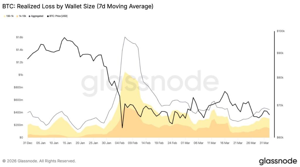 Grรกfico que muestra las pรฉrdidas realizadas de las ballenas y tiburones de bitcoin en el primer trimestre de 2026.
