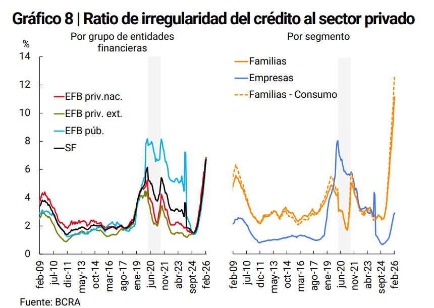 Graphs showing the irregularity ratios of the private sector in Argentina by segment and by financial entities.