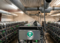 Granja de minería de criptomonedas con filas de ASIC miners y el logo de Tether en primer plano.