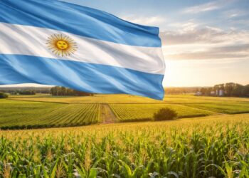 Una bandera argentina junto a tierras agrícolas.