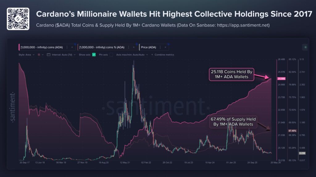 El gráfico que muestra la evolución de las wallets que poseen al menos 1 millón de ADA. 

