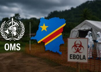 El logo de la OMS junto al mapa de la República democrática del Congo.