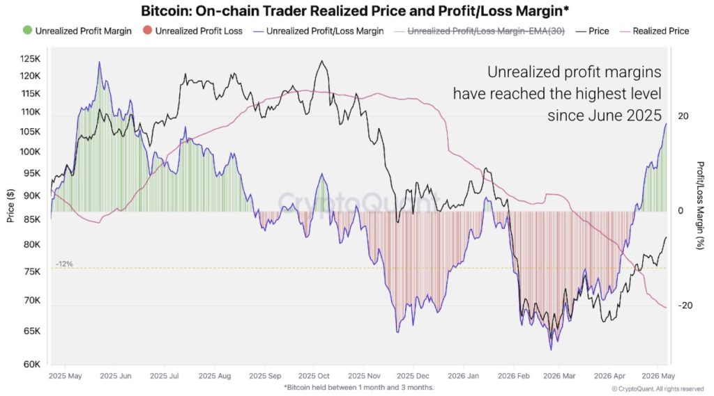Grafico de CryptoQuant que analiza las ganancias realizadas por cohortes de holders de bitcoin.
