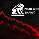 Una flecha roja descendente y el logo de la empresa Nakamoto.