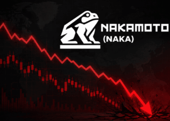 Una flecha roja descendente y el logo de la empresa Nakamoto.
