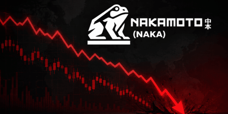 Una flecha roja descendente y el logo de la empresa Nakamoto.