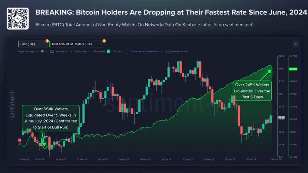 Chart showing the number of active bitcoin wallets over time.